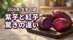 紫芋と紅芋の違いはどこ？沖縄以外で生芋が売っていない謎と驚きの栄養を公開